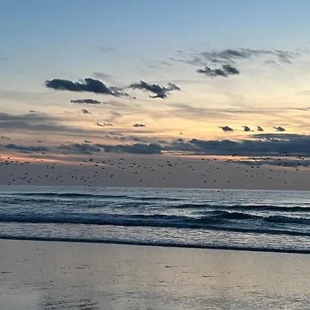 D A La De 15 M2 Le Manapany Bed and breakfast